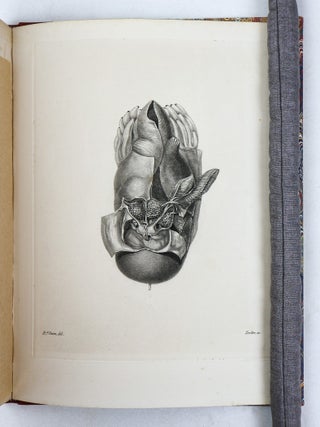 MEMOIR ON THE PEARLY NAUTILUS (NAUTILUS POMPILIUS, LINN.) WITH ILLUSTRATIONS OF ITS EXTERNAL FORM AND INTERNAL STRUCTURE.