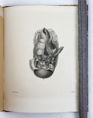 MEMOIR ON THE PEARLY NAUTILUS (NAUTILUS POMPILIUS, LINN.) WITH ILLUSTRATIONS OF ITS EXTERNAL FORM AND INTERNAL STRUCTURE.