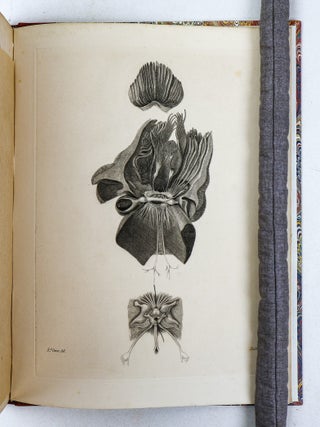 MEMOIR ON THE PEARLY NAUTILUS (NAUTILUS POMPILIUS, LINN.) WITH ILLUSTRATIONS OF ITS EXTERNAL FORM AND INTERNAL STRUCTURE.