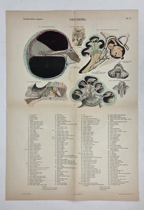 TABULAE OTOLOGICAE