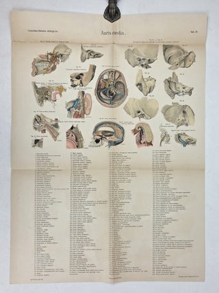 TABULAE OTOLOGICAE