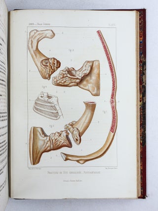 TRAITÉ ICONOGRAPHIQUE DES MALADIES CHIRURGICALES