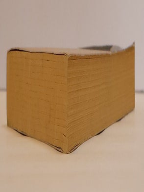 LET IT BLEED: ESSAYS 1985-1995
