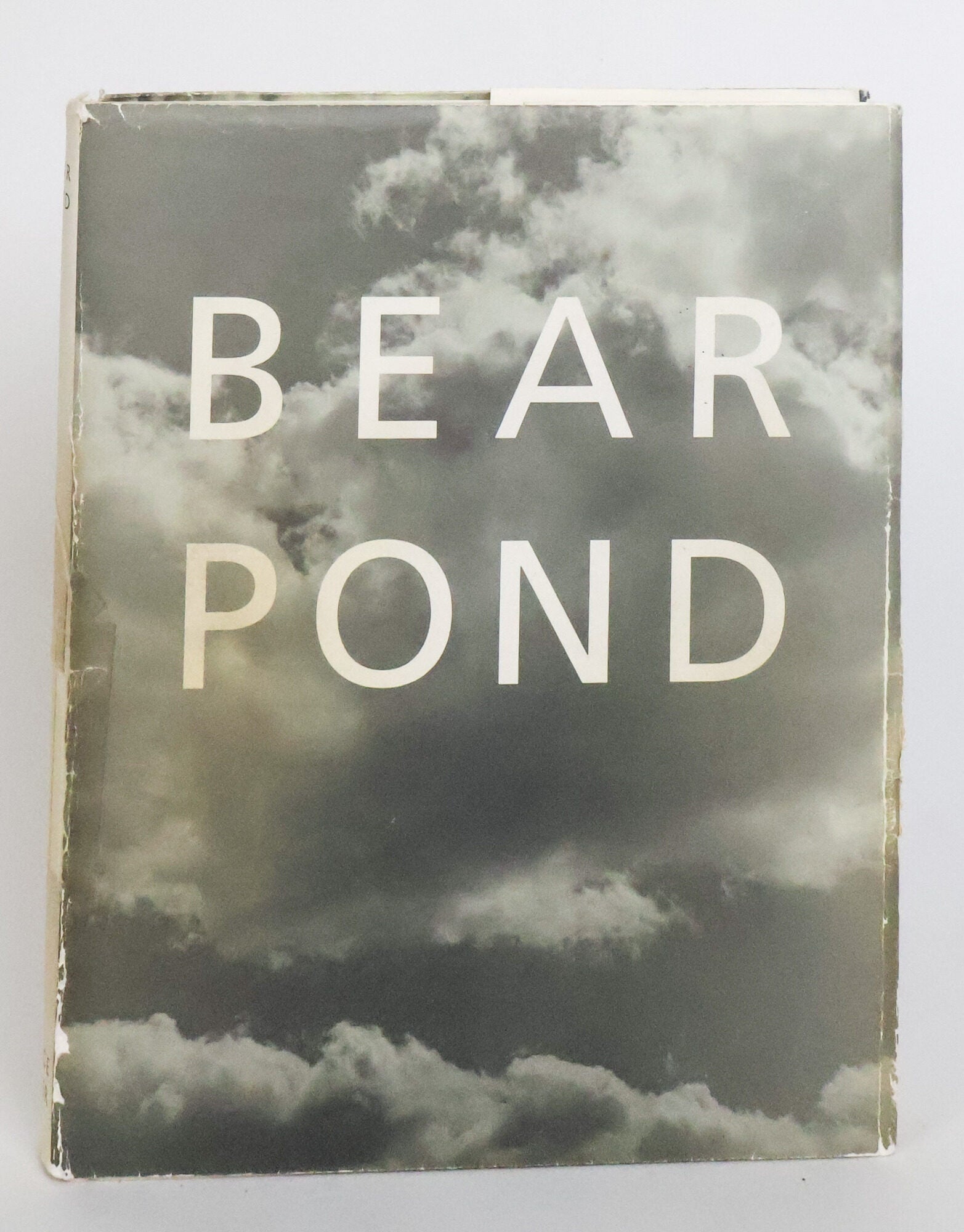 BEAR POND | Bruce Weber | First Edition, First Printing