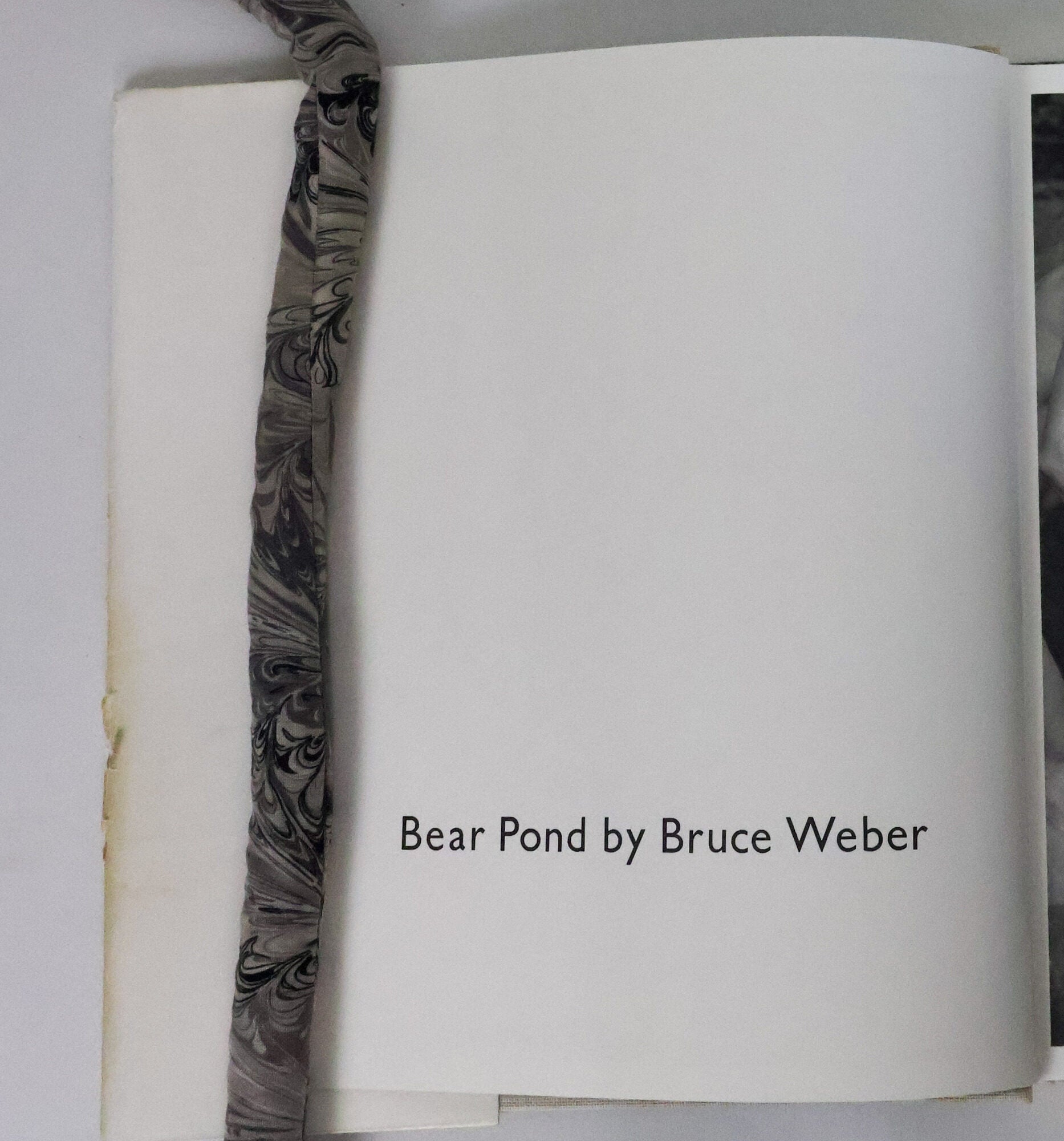BEAR POND | Bruce Weber | First Edition, First Printing