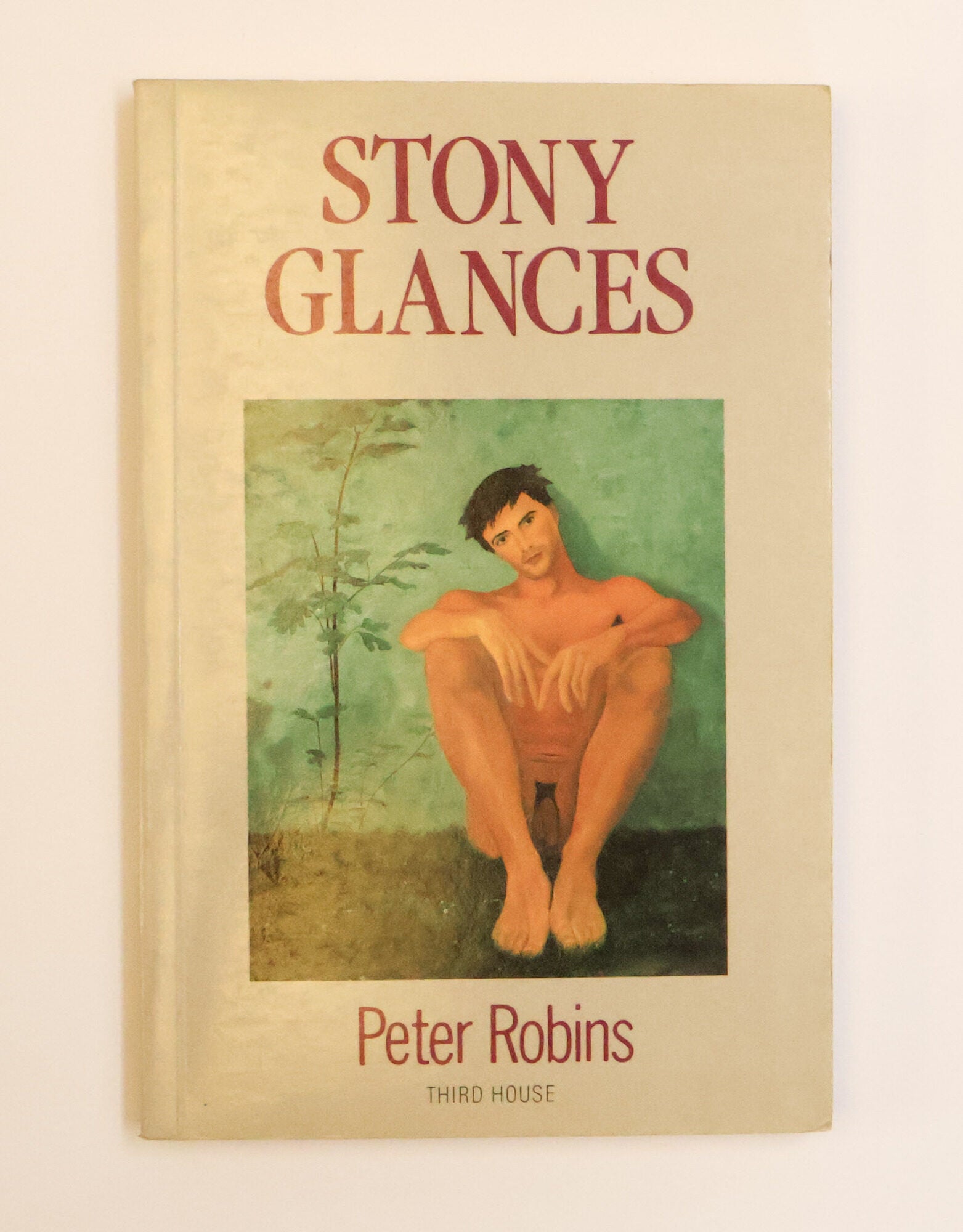 1414164 STONY GLANCES. Peter Robins.