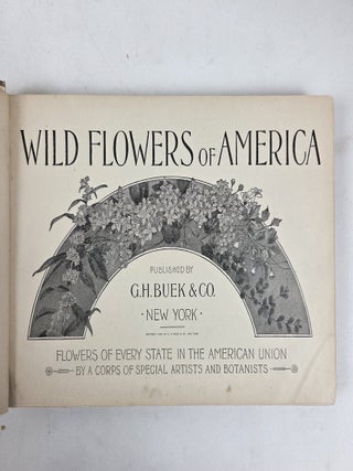 THE WILD FLOWERS OF AMERICA