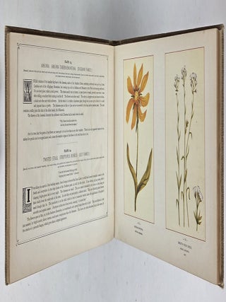 THE WILD FLOWERS OF AMERICA