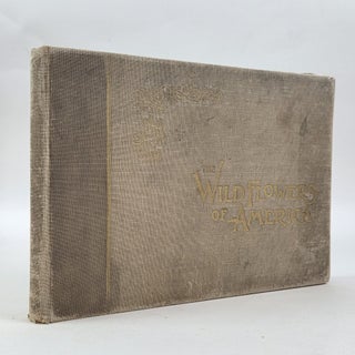 1414481 THE WILD FLOWERS OF AMERICA
