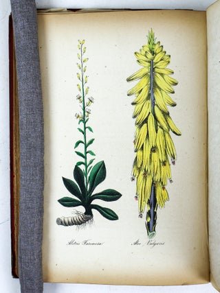 THE AMERICAN FLORA OR HISTORY OF PLANTS AND WILD FLOWERS CONTAINING A SYSTEMATIC AND GENERAL DESCRIPTION, NATURAL HISTORY, CHEMICAL AND MEDICAL PROPERTIES [Three volumes}