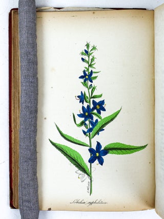 THE AMERICAN FLORA OR HISTORY OF PLANTS AND WILD FLOWERS CONTAINING A SYSTEMATIC AND GENERAL DESCRIPTION, NATURAL HISTORY, CHEMICAL AND MEDICAL PROPERTIES [Three volumes}