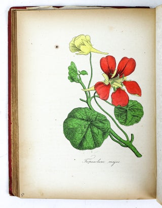 THE AMERICAN FLORA OR HISTORY OF PLANTS AND WILD FLOWERS CONTAINING A SYSTEMATIC AND GENERAL DESCRIPTION, NATURAL HISTORY, CHEMICAL AND MEDICAL PROPERTIES [Three volumes}