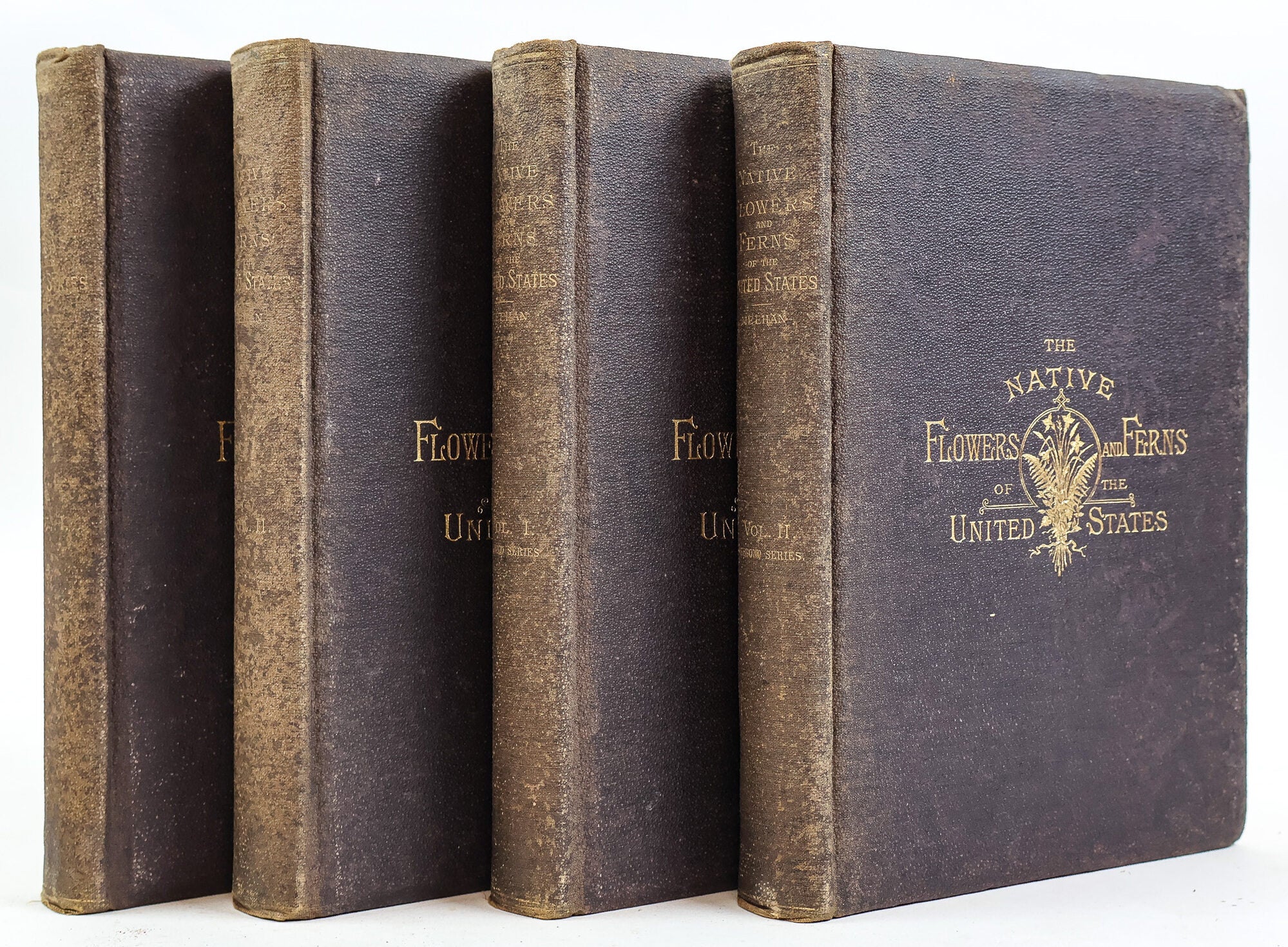 1414613 THE NATIVE FLOWERS AND FERNS OF THE UNITED STATES IN THEIR BOTANICAL, HORTICULTURAL AND POPULAR ASPECTS [Four Volumes]. Thomas Meehan.