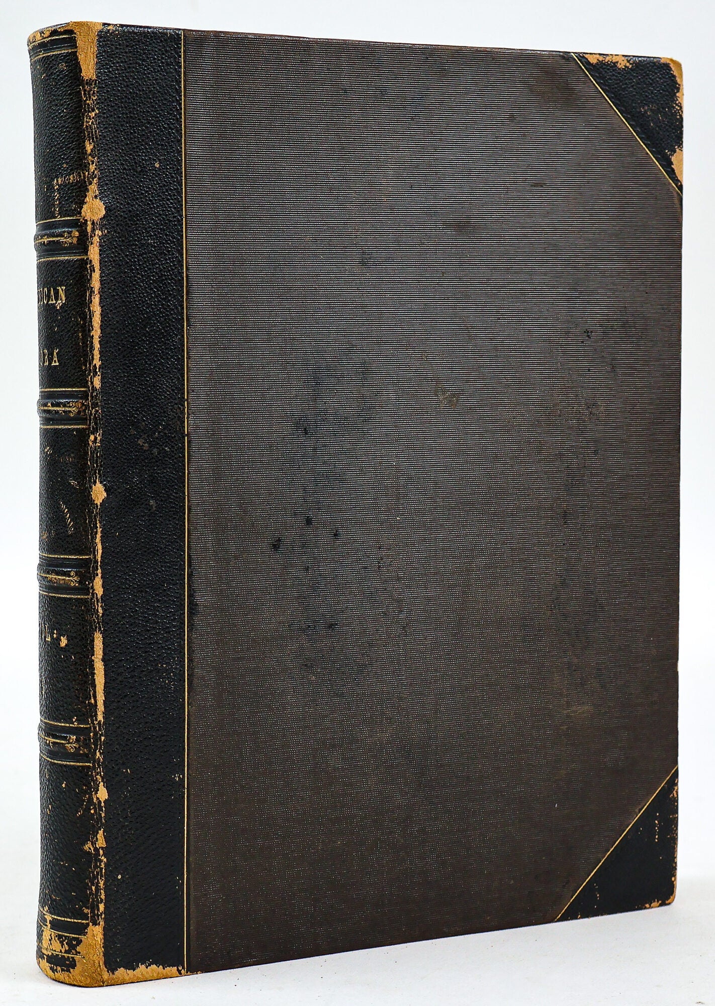 1414615 THE AMERICAN FLORA OR HISTORY OF PLANTS AND WILD FLOWERS CONTAINING A SYSTEMATIC AND GENERAL DESCRIPTION, NATURAL HISTORY, CHEMICAL AND MEDICAL PROPERTIES [Volume II only}. A. B. Stong, M. D.