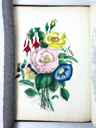 THE AMERICAN FLORA OR HISTORY OF PLANTS AND WILD FLOWERS CONTAINING A SYSTEMATIC AND GENERAL DESCRIPTION, NATURAL HISTORY, CHEMICAL AND MEDICAL PROPERTIES [Volume II only}