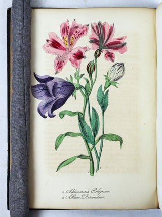 THE AMERICAN FLORA OR HISTORY OF PLANTS AND WILD FLOWERS CONTAINING A SYSTEMATIC AND GENERAL DESCRIPTION, NATURAL HISTORY, CHEMICAL AND MEDICAL PROPERTIES [Volume II only}