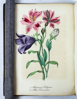 THE AMERICAN FLORA OR HISTORY OF PLANTS AND WILD FLOWERS CONTAINING A SYSTEMATIC AND GENERAL DESCRIPTION, NATURAL HISTORY, CHEMICAL AND MEDICAL PROPERTIES [Volume II only}