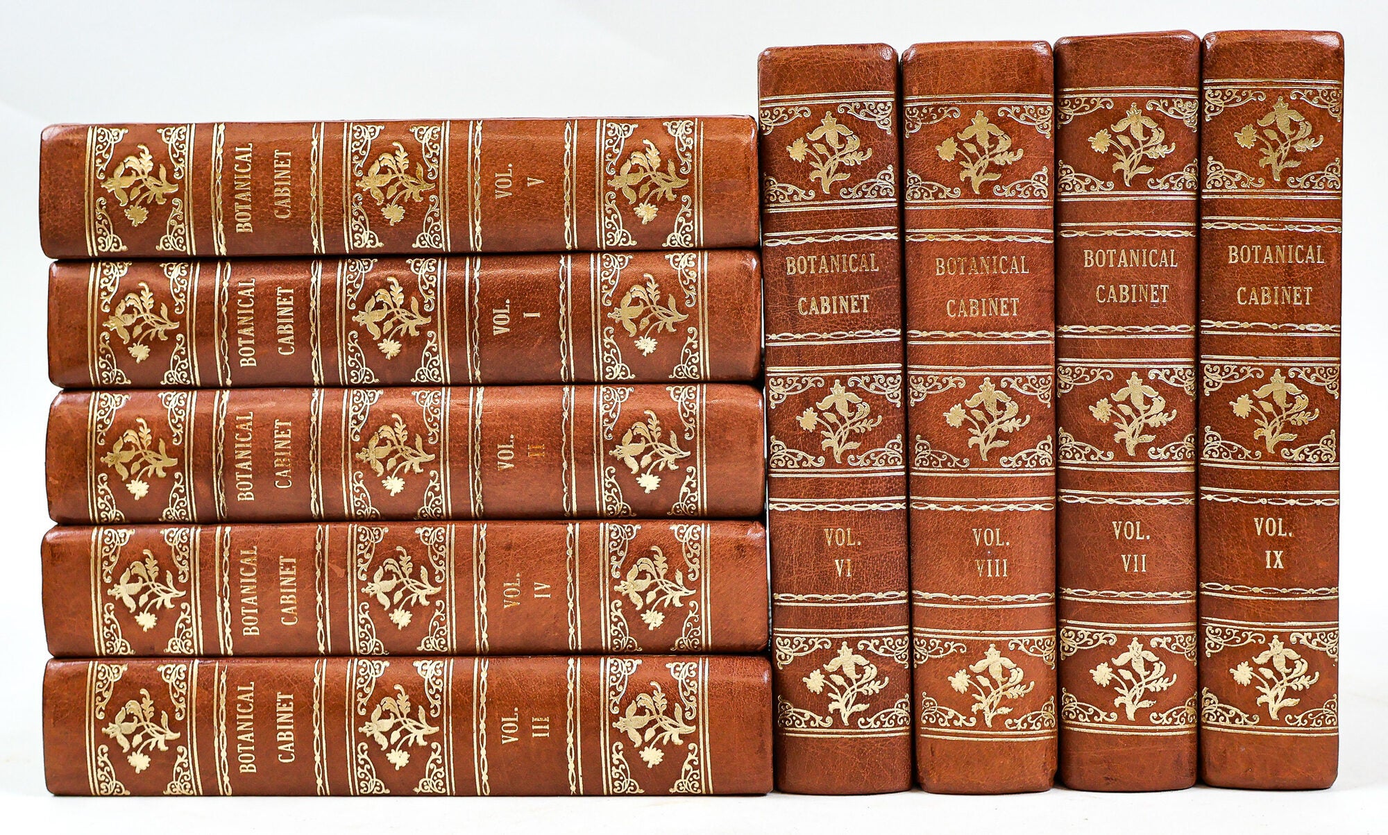 1414629 THE BOTANICAL CABINET CONSISTING OF COLORED DELINEATIONS OF PLANTS FROM ALL COUNTRIES [Nine volumes]. Conrad Loddiges, Sons.