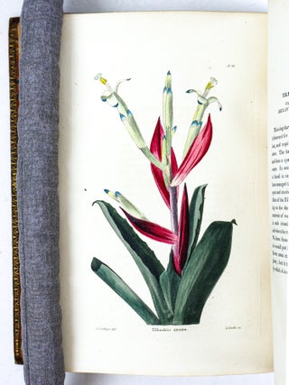 THE BOTANICAL CABINET CONSISTING OF COLORED DELINEATIONS OF PLANTS FROM ALL COUNTRIES [Nine volumes]