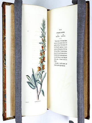 THE BOTANICAL CABINET CONSISTING OF COLORED DELINEATIONS OF PLANTS FROM ALL COUNTRIES [Nine volumes]