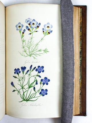 PAXTON'S MAGAZINE OF BOTANY AND REGISTER OF FLOWERING PLANTS [13 volumes]