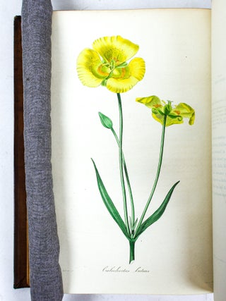 PAXTON'S MAGAZINE OF BOTANY AND REGISTER OF FLOWERING PLANTS [13 volumes]