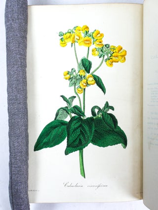 PAXTON'S MAGAZINE OF BOTANY AND REGISTER OF FLOWERING PLANTS [13 volumes]