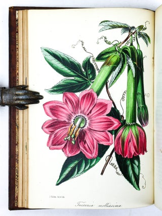 PAXTON'S MAGAZINE OF BOTANY AND REGISTER OF FLOWERING PLANTS [13 volumes]