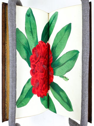PAXTON'S MAGAZINE OF BOTANY AND REGISTER OF FLOWERING PLANTS [13 volumes]