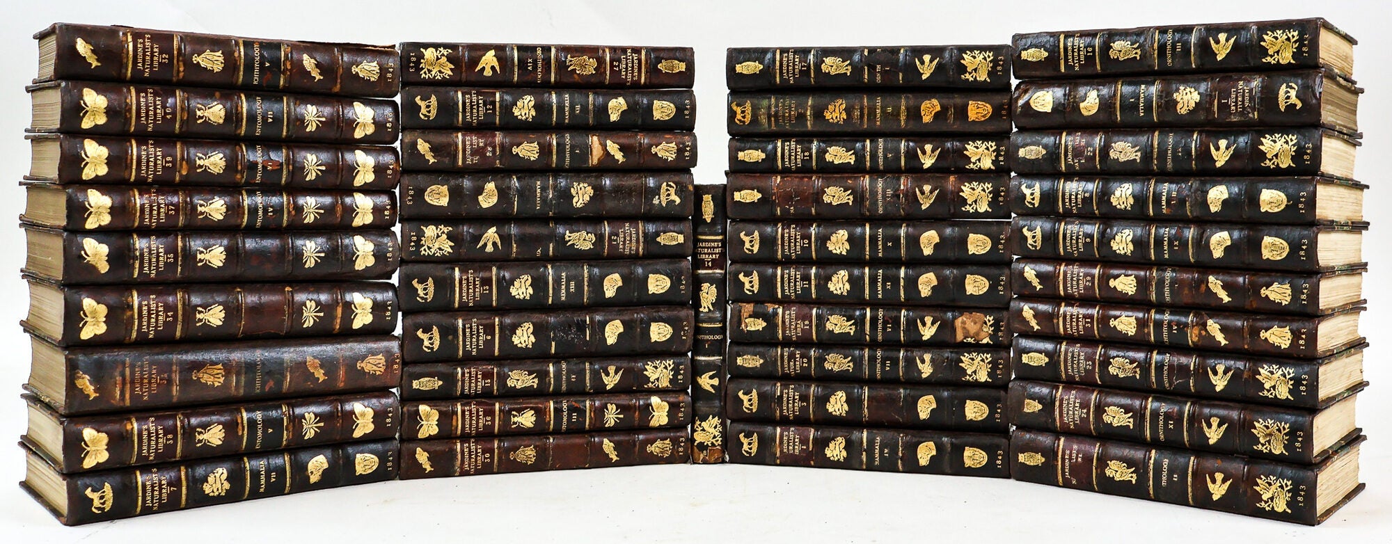 1414849 THE NATURALIST'S LIBRARY [40 Volumes]. Sir William Jardine.