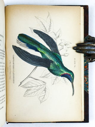 THE NATURALIST'S LIBRARY [40 Volumes]