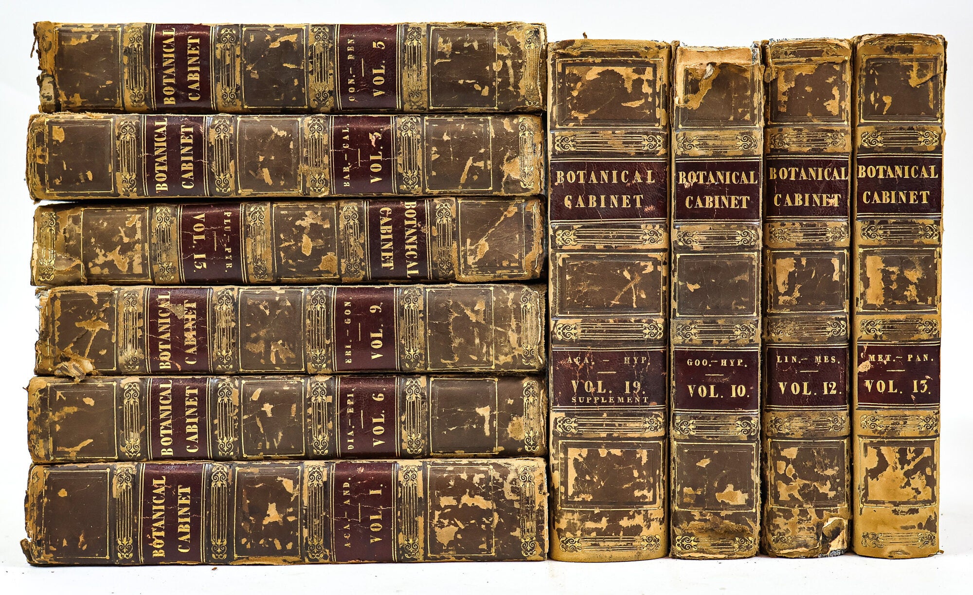 1414877 THE BOTANICAL CABINET CONSISTING OF COLORED DELINEATIONS OF PLANTS FROM ALL COUNTRIES [10 volumes]. Conrad Loddiges, Sons.
