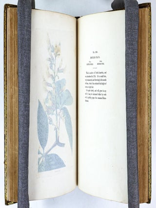 THE BOTANICAL CABINET CONSISTING OF COLORED DELINEATIONS OF PLANTS FROM ALL COUNTRIES [10 volumes]