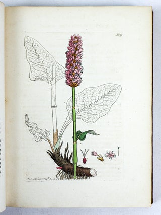 ENGLISH BOTANY; OR, COLOURED FIGURES OF BRITISH PLANTS WITH THEIR ESSENTIAL CHARACTERS, SYNONYMS, AND PLACES OF GROWTH. [36 volumes]