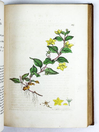 ENGLISH BOTANY; OR, COLOURED FIGURES OF BRITISH PLANTS WITH THEIR ESSENTIAL CHARACTERS, SYNONYMS, AND PLACES OF GROWTH. [36 volumes]