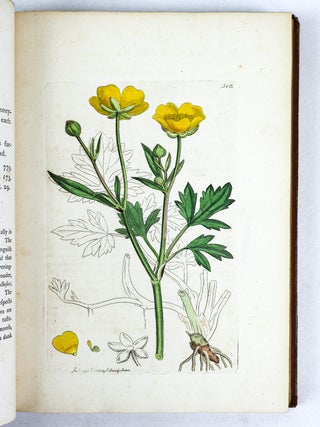 ENGLISH BOTANY; OR, COLOURED FIGURES OF BRITISH PLANTS WITH THEIR ESSENTIAL CHARACTERS, SYNONYMS, AND PLACES OF GROWTH. [36 volumes]