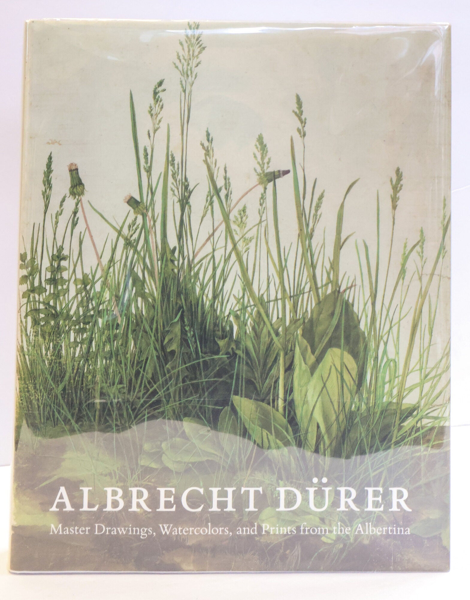 1415709 ALBRECHT D&Uuml;RER: MASTER DRAWINGS, WATERCOLORS, AND PRINTS FROM THE ALBERTINA. Andrew Robinson, Klaus Albrecht Schr&ouml;der, Berthold Hinz, Alice Hoppe-Harnoncourt, Matthias Mende, Christof Metzger, Eva Michel, Ernst Rebel, Anna Scherbaum, Karl Sch&uuml;tz, Maria Luise Sternath, Heinz Widauer, Jutta Zander-Seidel.