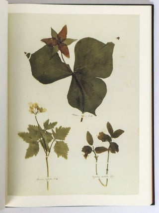 EMILY DICKINSON'S HERBARIUM
