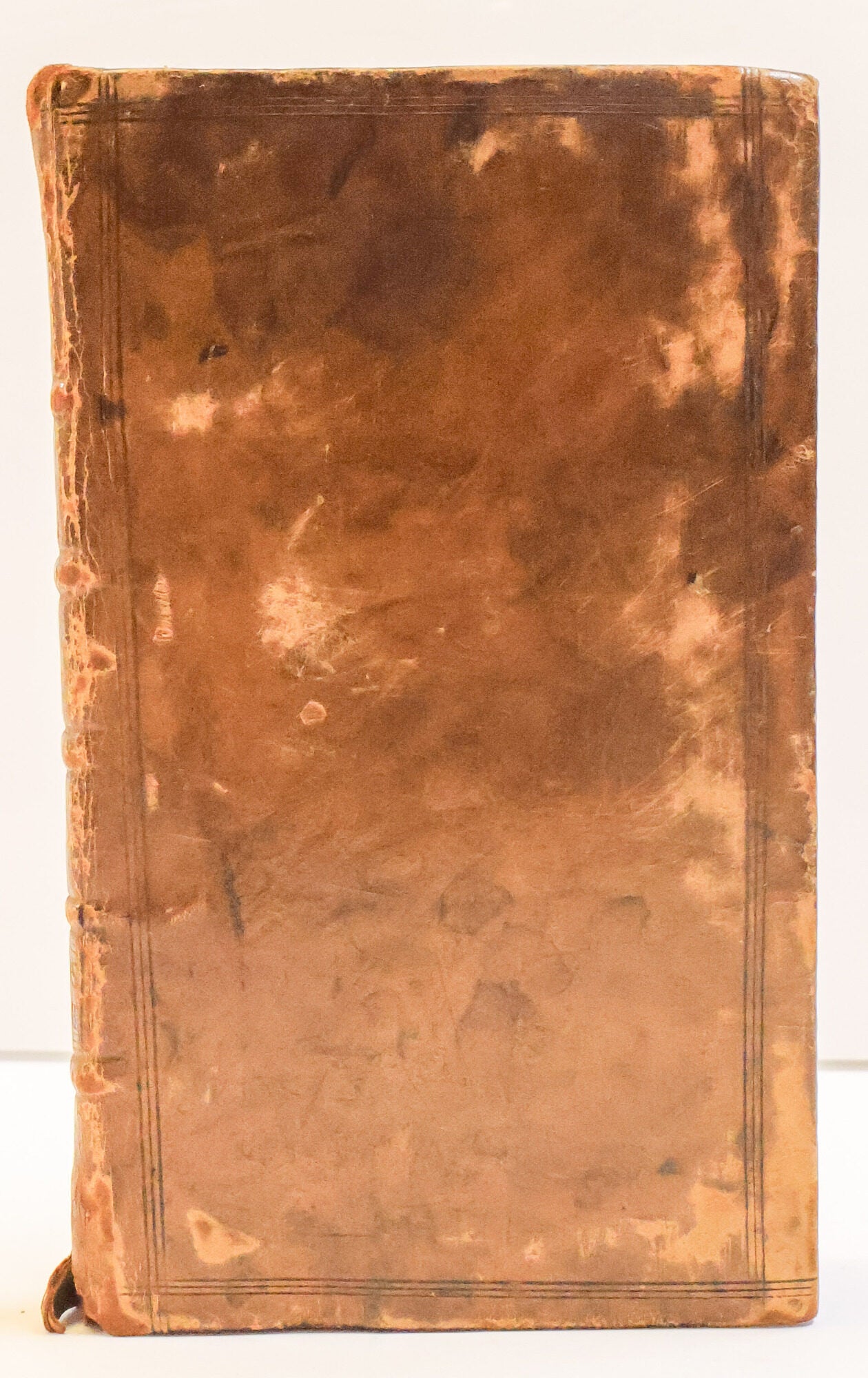 1417137 SALLUSTIUS THE HISTORIAN, TRANSLATED INTO ENGLISH: TO WHICH ARE PREFIXED THE LIFE AND CHARACTER OF THE AUTHOR AND HIS WORKS. Gaius Sallustius Crispus, John Rowe.